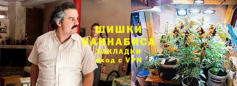 это официальный сайт  Заполярный  Марихуана индика 